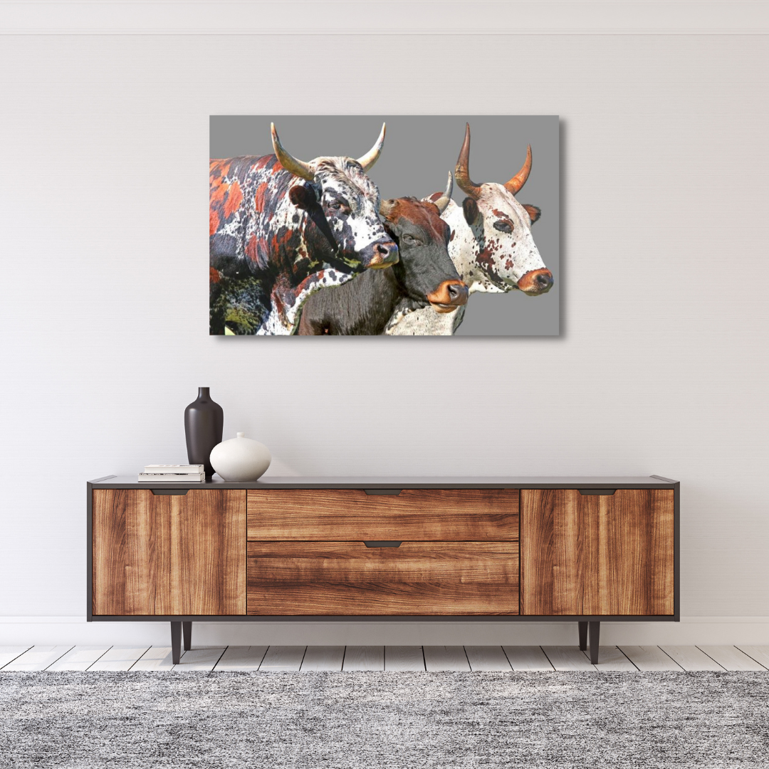 Canvas Wall Art Home Decor - Nguni Cattle 02