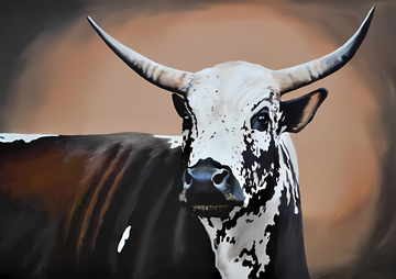 Canvas Wall Art Home Decor - Nguni Cow