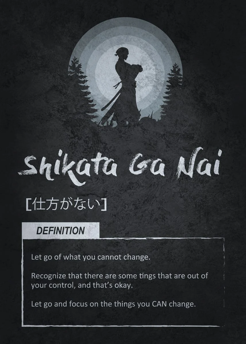 Motivational Canvas Wall Art - Shikata Ga Nai