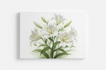White Lilies Soft Bloom - Hero